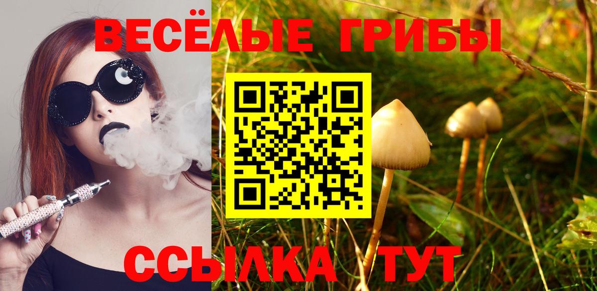 Ипатово  Галлюциногенные грибы мухоморы  Галлюциногенные грибы мицелий  Вход с VPN 